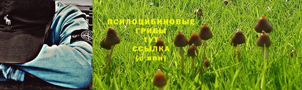 дмт Пестово