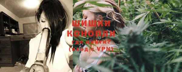 герыч Пересвет