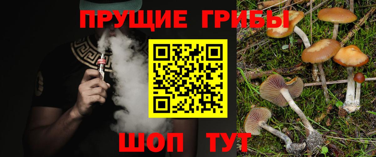 Алатырь  Галлюциногенные грибы прущие грибы  Вход с VPN 