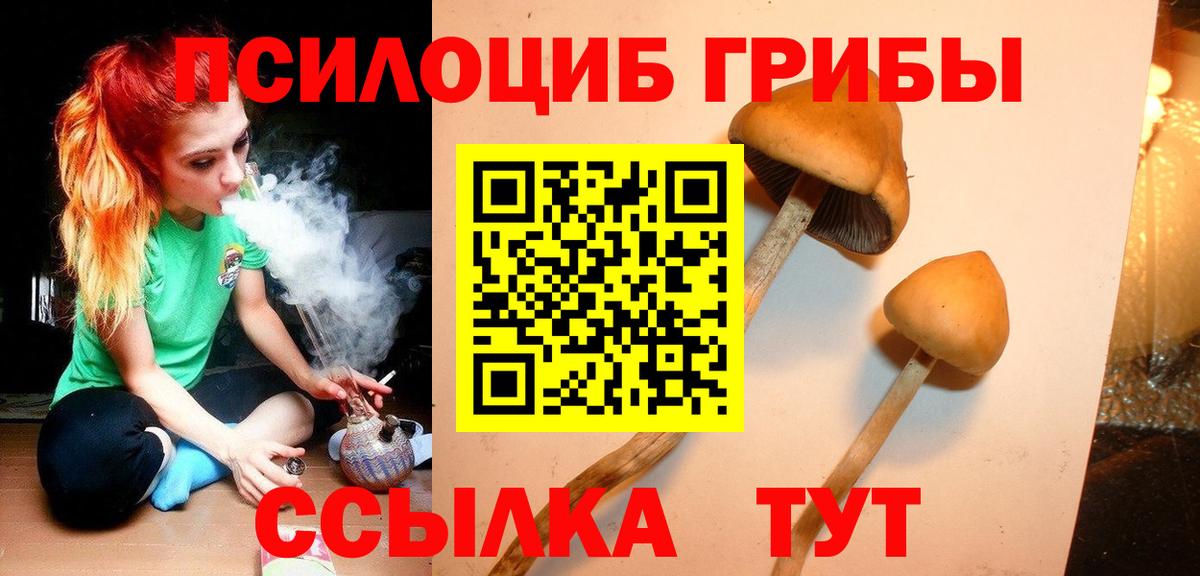 Псилоцибиновые грибы ЛСД  Вход с VPN  сколько стоит  Алатырь 