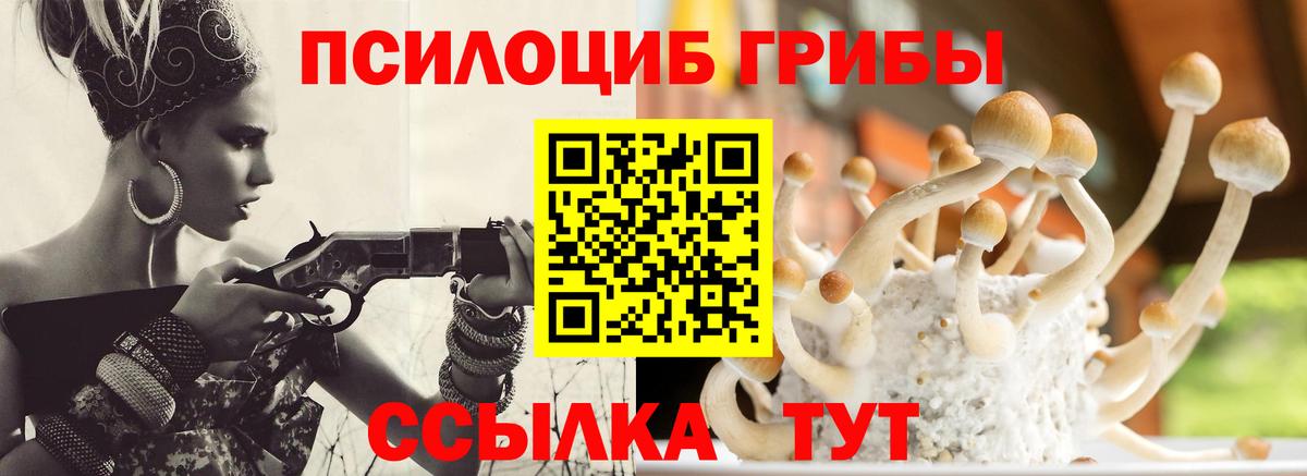 Галлюциногенные грибы мухоморы Алатырь